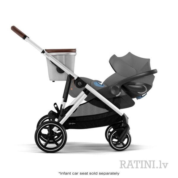 Ratini.lv | Gazelle S 2 sporta rati Silver rāmis/ Ocean Blue bilde #19