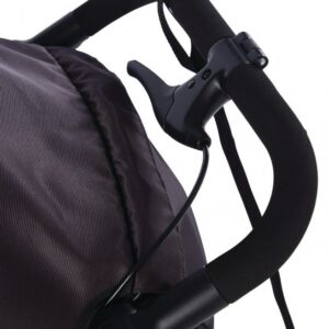 Graco TrailRider bērnu sporta ratiņi krāsa Black