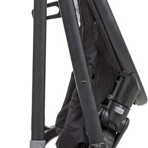 Graco Transform 2in1 bērnu ratiņi krāsa Black