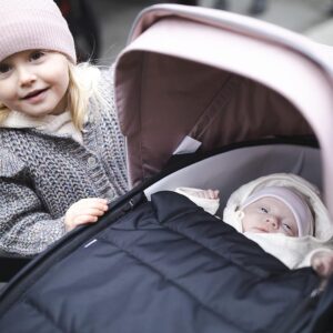 Thule Shine ratu kulba Bassinet krāsa Black