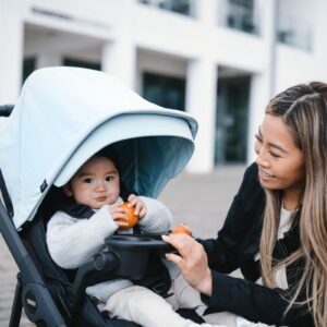 Thule Shine ratu Snack Tray našķu paplāte