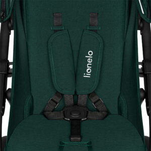 Lionelo Annet PLUS bērnu ratiņi krāsa Green Forest