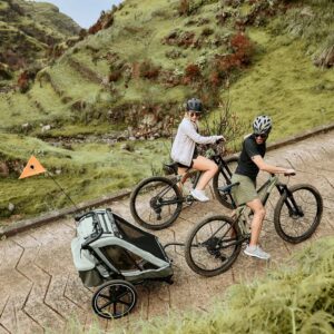 ABC Design Bike Trailer Tour 2 bērnu velo piekabe krāsa Falcon