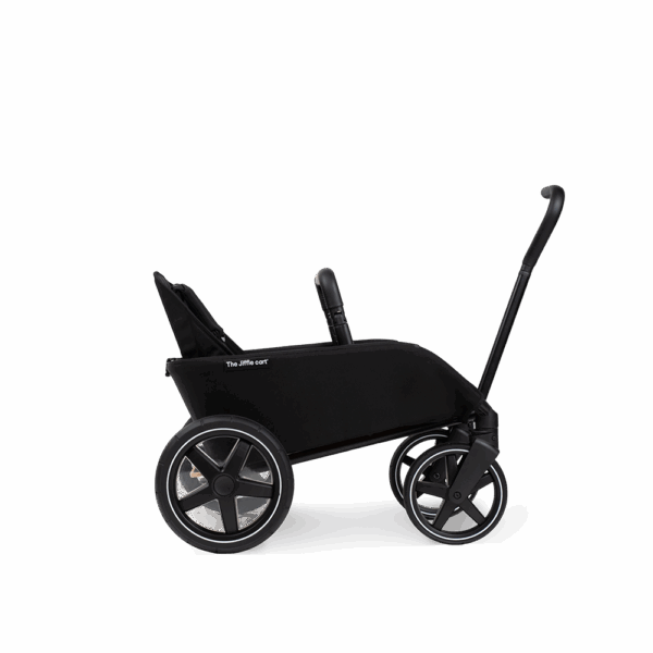 Ratini.lv | Cart bērnu piekabe bilde #5