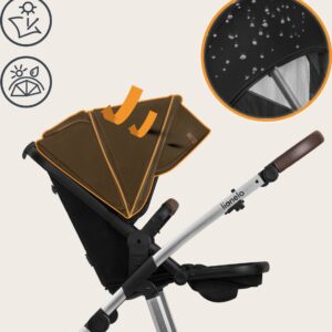 Lionelo AMBER 2IN1 bērnu ratu komplekts krāsa BLACK SILVER