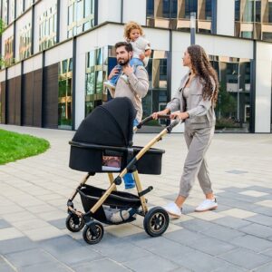 Lionelo AMBER 2IN1 bērnu ratu komplekts krāsa BLACK ONYX