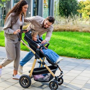 Lionelo AMBER 2IN1 bērnu ratu komplekts krāsa BLACK SILVER