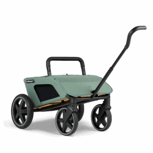 The Jiffle Wagon 2+ bērnu rati 6in1 krāsa Pine
