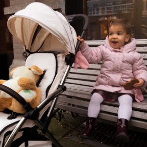 LecLercBaby Luxury Reversible Seat LIner bērnu ratiņu ieliktnis krāsa Grey