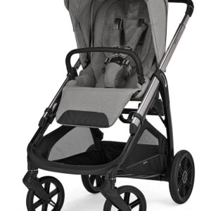 Inglesina Aptica System Duo bērnu ratu komplekts 2in1 krāsa Platinum Grey