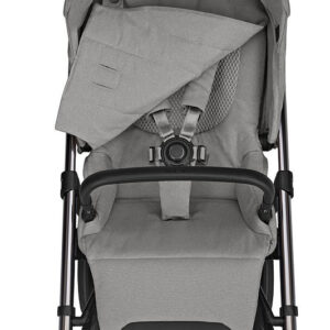 Inglesina Aptica System Quattro bērnu ratu komplekts 3 in 1 ar autokrēsliņu Darwin krāsa Platinum Grey