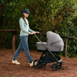 Inglesina APTICA XT QUATTRO bērnu ratu komplekts 3in1 ar autokrēsliņu Darwin Recline krāsa Canyon Grey