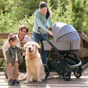 Inglesina APTICA XT QUATTRO bērnu ratu komplekts 3in1 ar autokrēsliņu Darwin Recline krāsa Tundra Beige