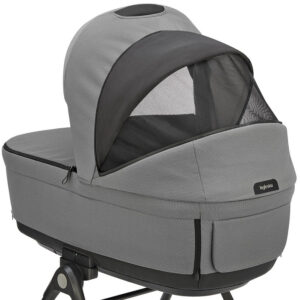 Inglesina APTICA XT QUATTRO bērnu ratu komplekts 3in1 ar autokrēsliņu Darwin krāsa Canyon Grey