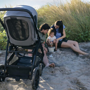 Inglesina APTICA XT QUATTRO bērnu ratu komplekts 3in1 ar autokrēsliņu Darwin krāsa Canyon Grey