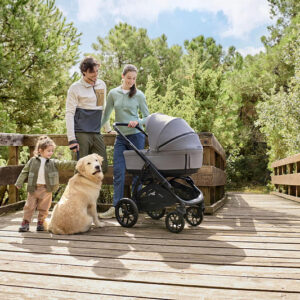 Inglesina APTICA XT QUATTRO bērnu ratu komplekts 3in1 ar autokrēsliņu Darwin krāsa Tundra Beige
