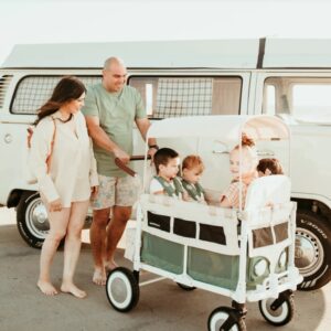 Wonderfold VW4 Volkswagen universāli bērnu ratiņi (4 sēdvietas) krāsa Sage Green
