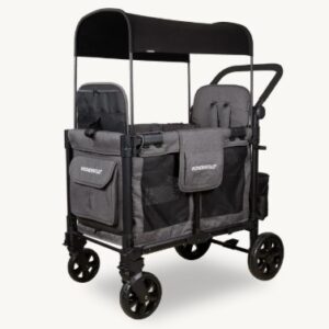 Wonderfold W2 Elite universāli bērnu ratiņi (2 sēdvietas) krāsa Gray