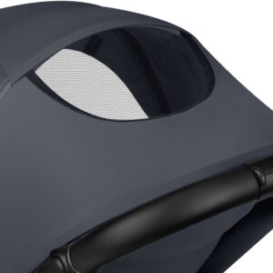 Lionelo IVA bērnu ratiņi krāsa Grey Graphite
