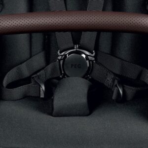 Peg Perego YPSI sporta bērnu ratiņi krāsa TRUE BLACK