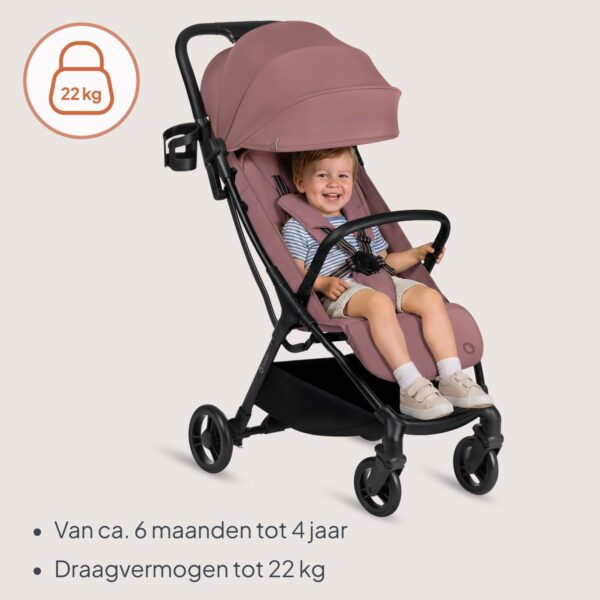 Ratini.lv | AGIA pastaigu ratiņi krāsa PINK MAUVE bilde #17