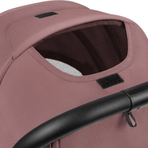Lionelo AGIA pastaigu ratiņi krāsa PINK MAUVE