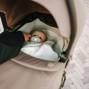 Thule Urban Glide 3 Bassinet ratu kulba