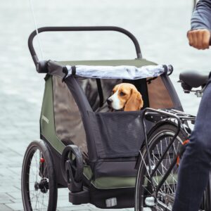 Thule Courier bērnu velopiekabe krāsa Vintage Green