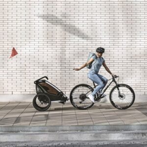 Thule Chariot