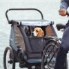 Thule Chariot velo piekabes komplekts suņiem