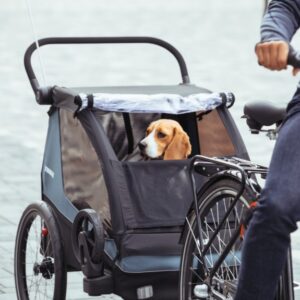 Thule Chariot velo piekabes komplekts suņiem