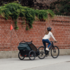 Thule Chariot Cab divvietīga velosipēdu piekabe bērniem krāsa Dark Slate