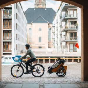 Thule Chariot Sport 2 vienvietīgā velosipēdu piekabe bērniem krāsa Natural Gold
