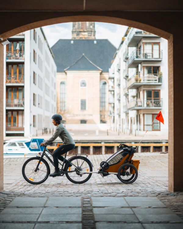 Ratini.lv | Chariot Sport 2 vienvietīgā velosipēdu piekabe krāsa Natural Gold bilde #23