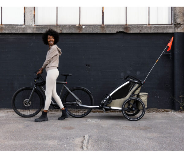 Thule Chariot