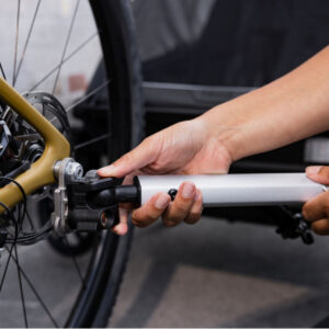 Thule Chariot Sport 2 vienvietīgā velosipēdu piekabe bērniem krāsa Natural Gold